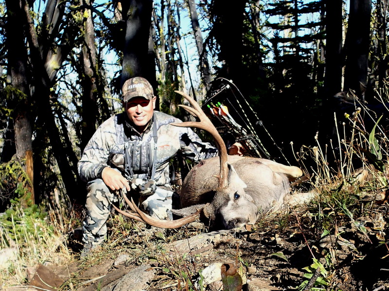 2013 Archery buck - mountain mulie
